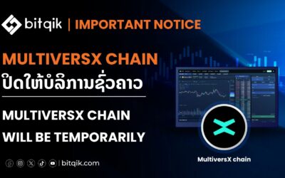 MultiversX chain